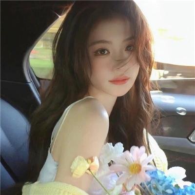 希德尼娅的骑士
