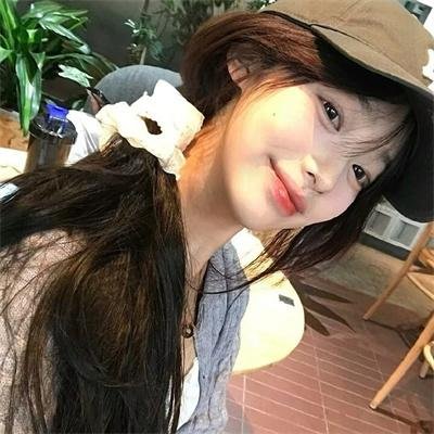 都柏林动物
